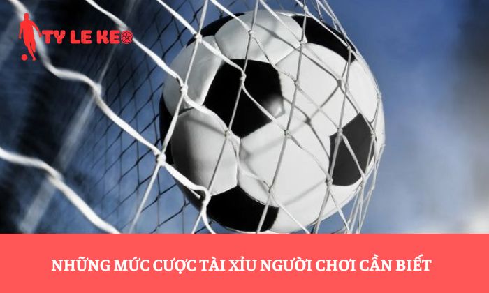 kèo tài xỉu kèo tài xỉu